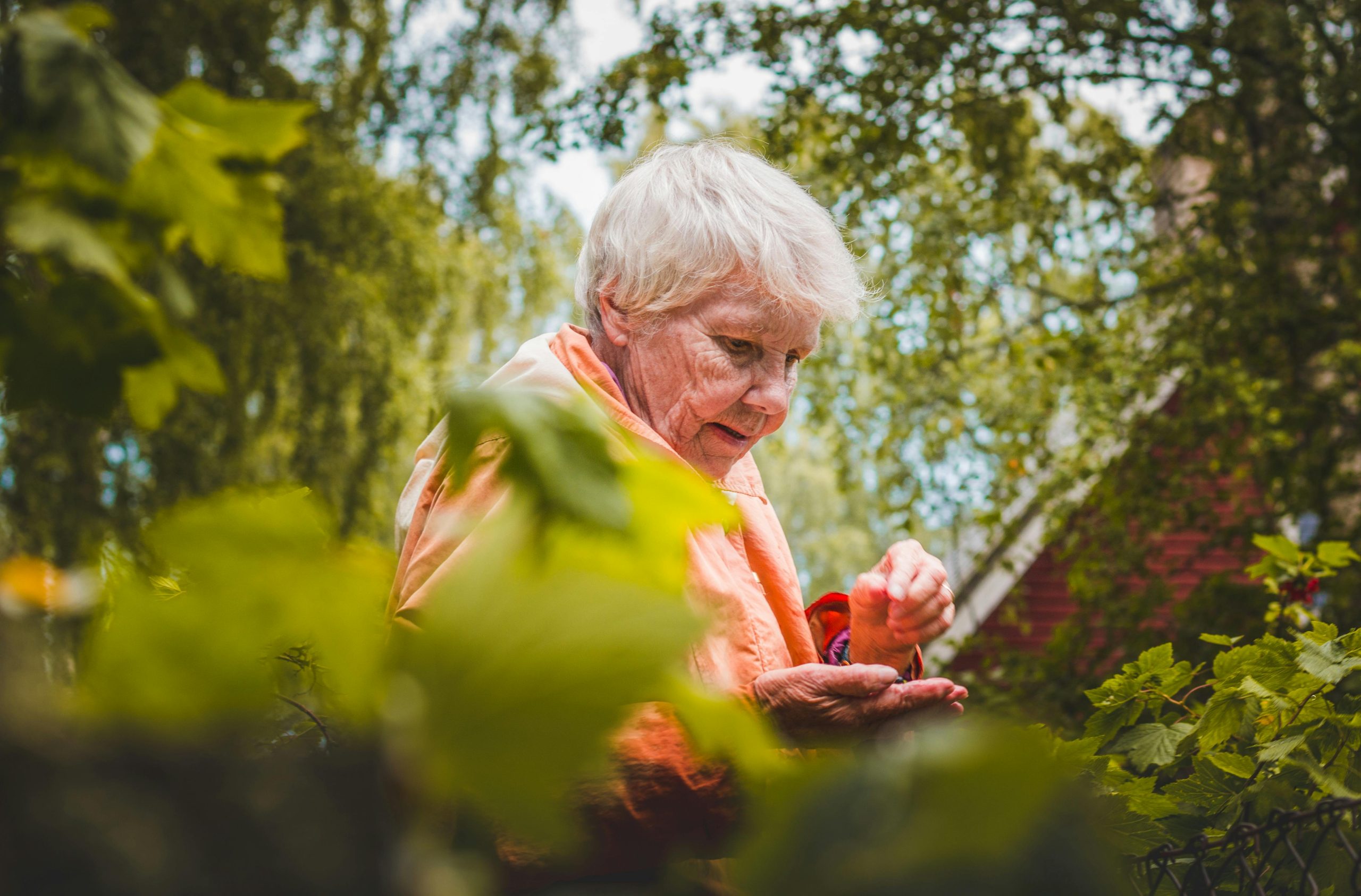 Elderly Home Visits in Santa Clara County
