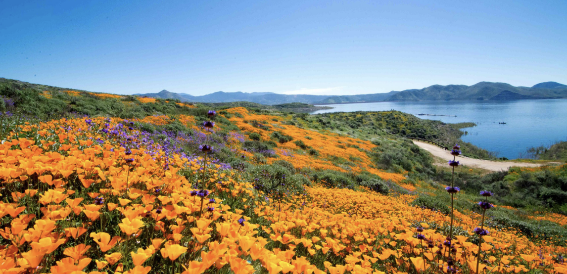 Aging in Place Services in Santa Clara County